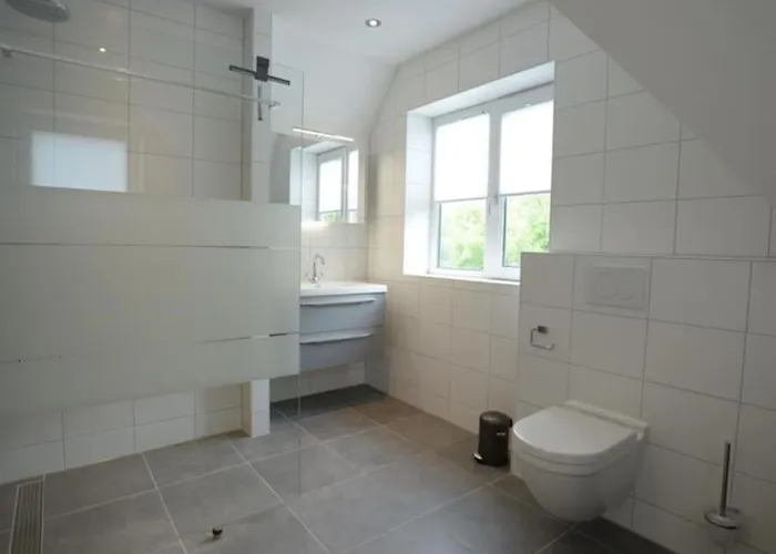 Duinbraam * Den Burg